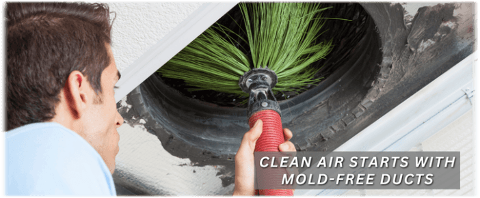 Air Duct Mold Removal in Nashua NH